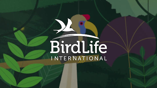The Birdlife Foundation- new platform Hatch